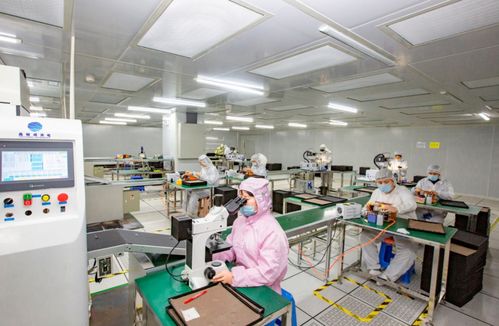 奮進(jìn)在春光里 電子信息產(chǎn)業(yè)滿園春色，信息技術(shù)咨詢服務(wù)賦能向海圖強(qiáng)