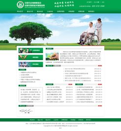 專業(yè)企業(yè)展示型網站建設，打造北京企業(yè)的數字名片